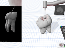 Screen Shot 2021-11-13 at 9.05.20 PM.png